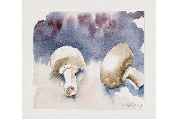 Mushrooms, aquarelle sur papier Fabriano Artistico, 5x5p.